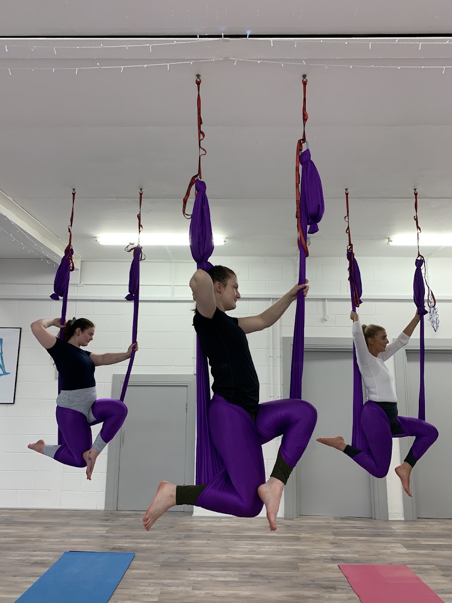 Dragonfly Studio