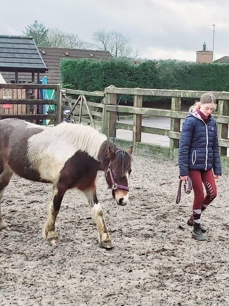 Drumbaragh Stables, Livery and Sales