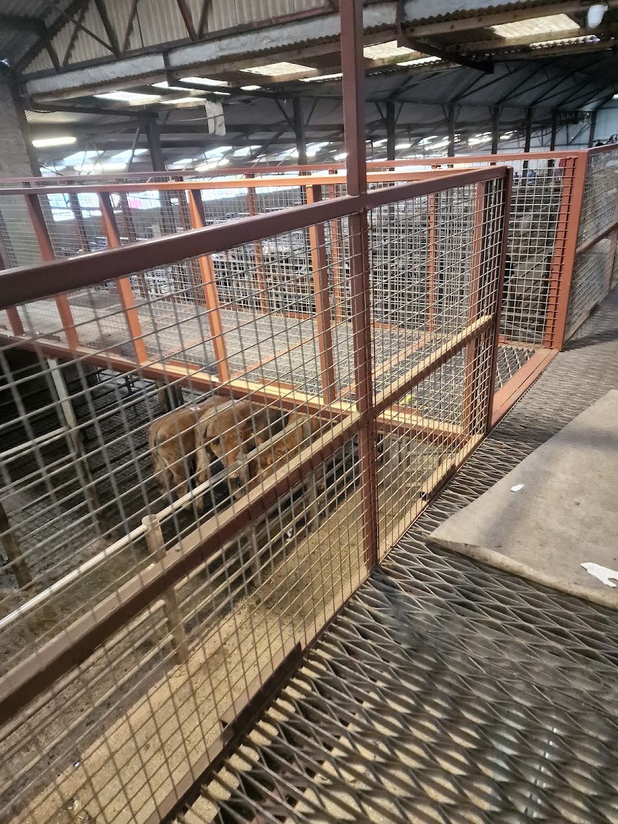 Drumshanbo Mart