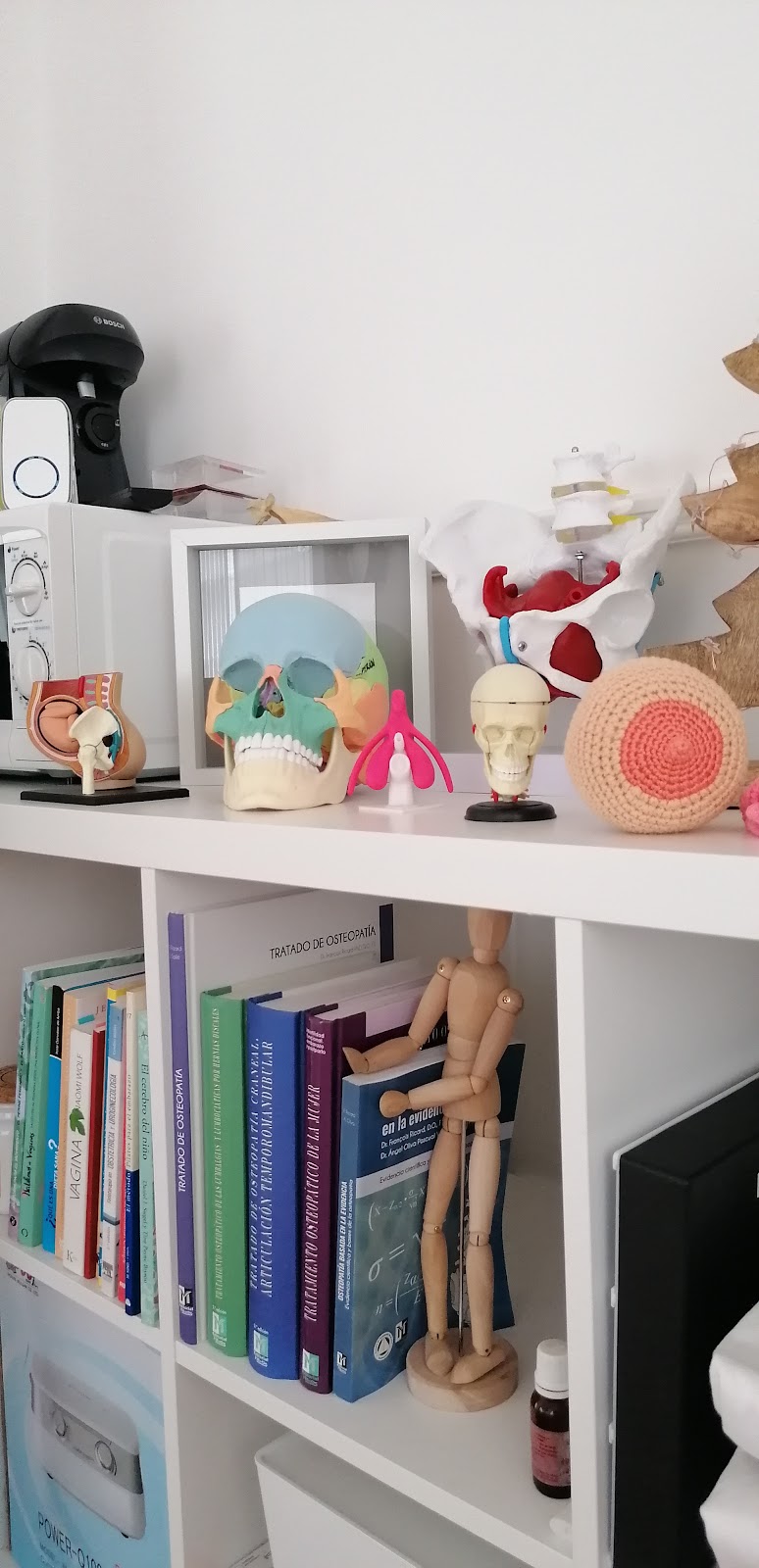 Dublin Osteopath VivaBody Health Studio