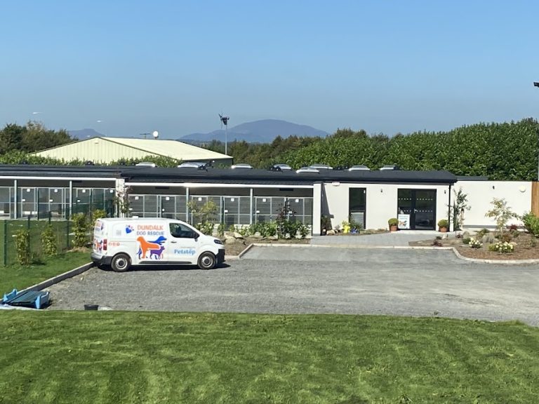 Dundalk Dog Rescue