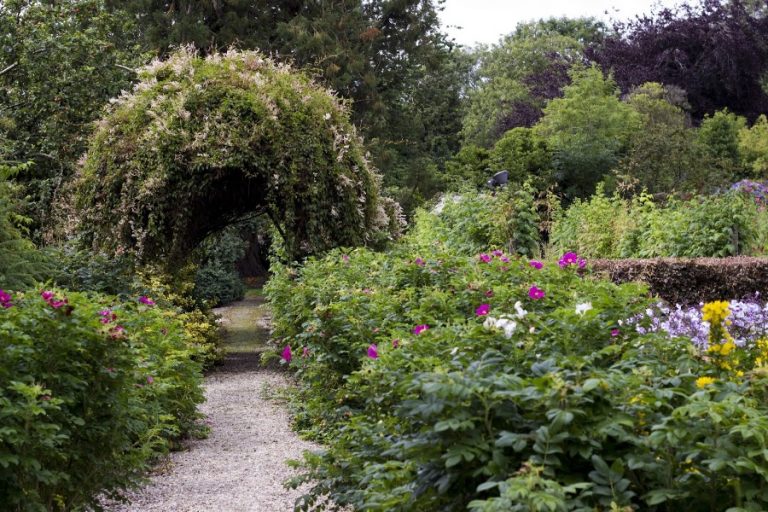 Dunmore House & Gardens