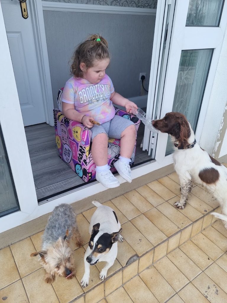 Erne Veterinary Group