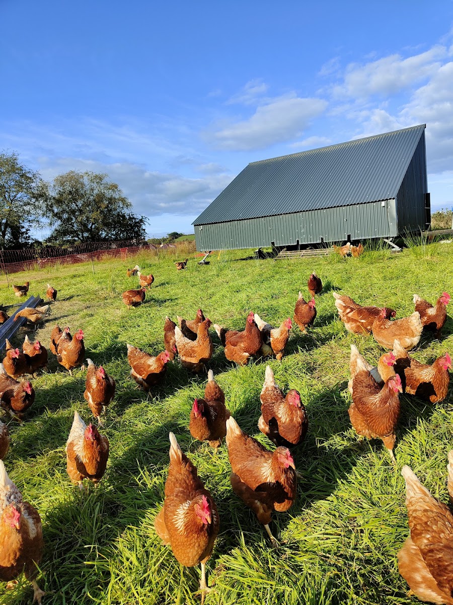 Forest Hill Farm