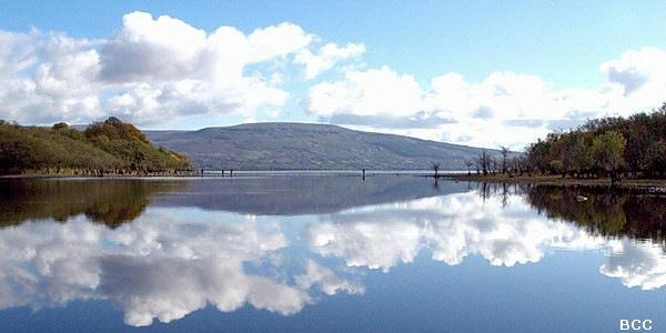 Frances Greene Lough Allen Acupuncture, Leitrim, Roscommon