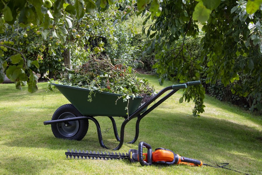 Garden Doctor Dublin
