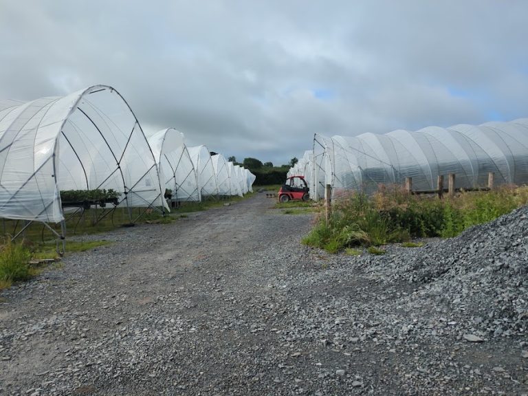 Gilfresh Produce Ltd
