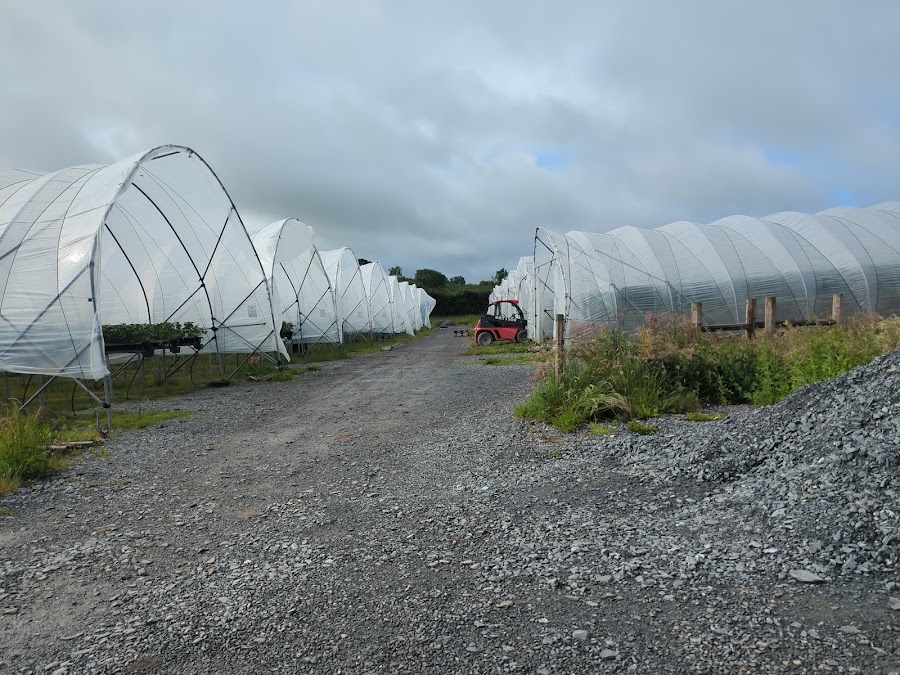 Gilfresh Produce Ltd