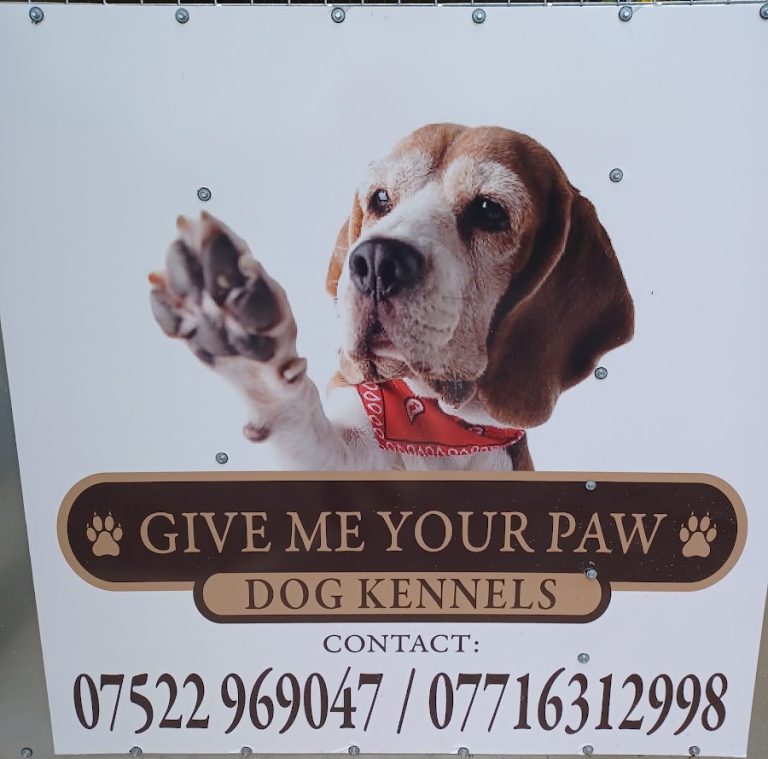 Give Me Your Paw Dog Kennels