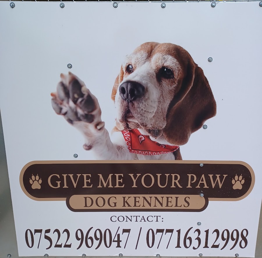 Give Me Your Paw Dog Kennels