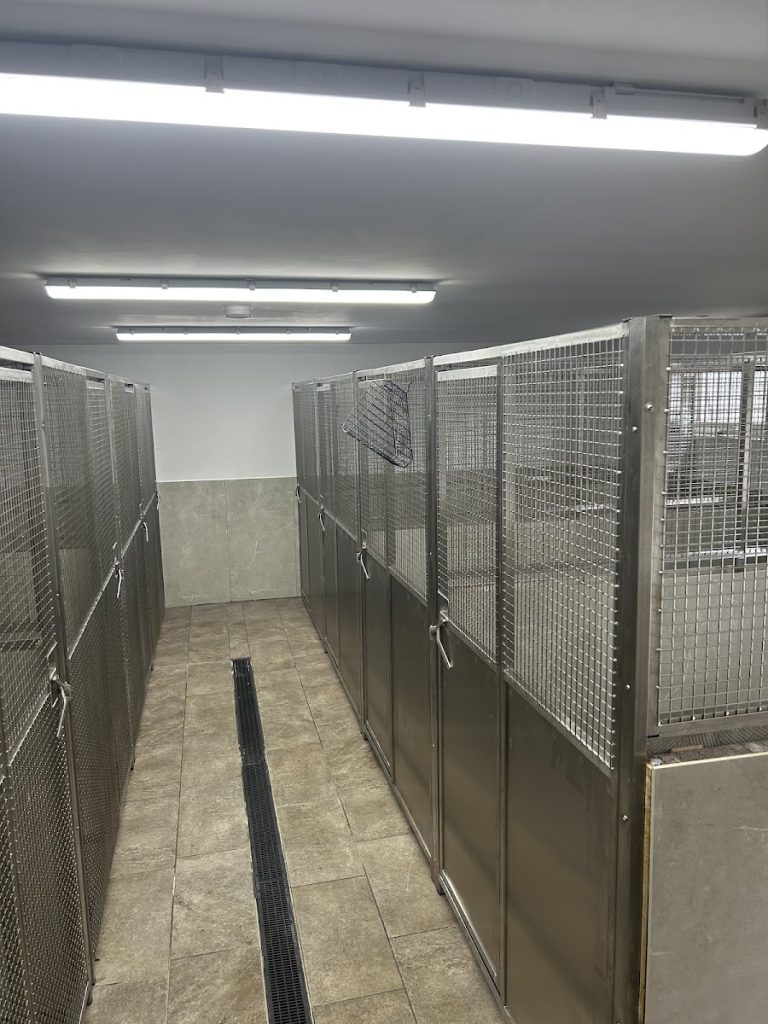 Glencairn Kennels