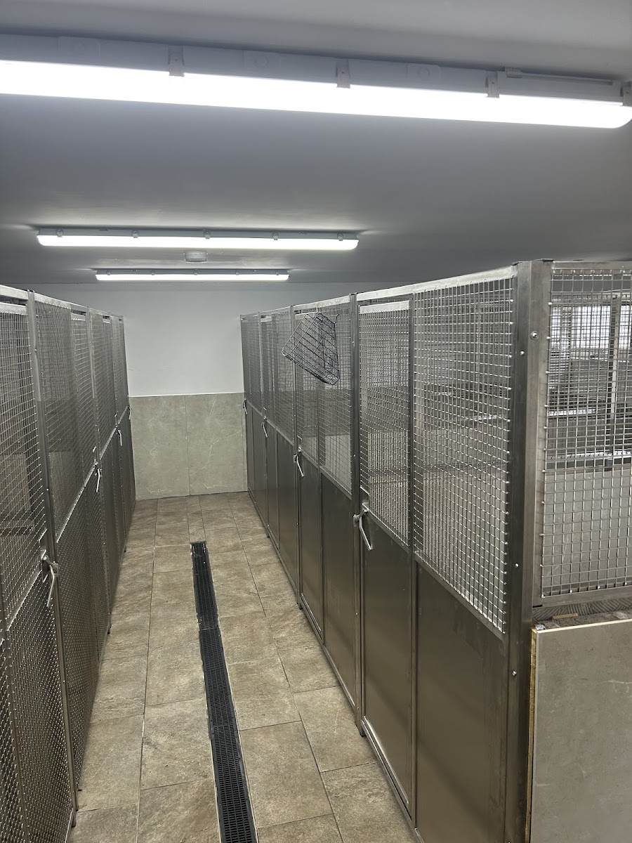 Glencairn Kennels