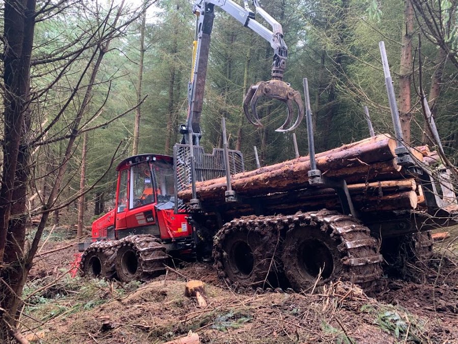 Glendale Tree Services