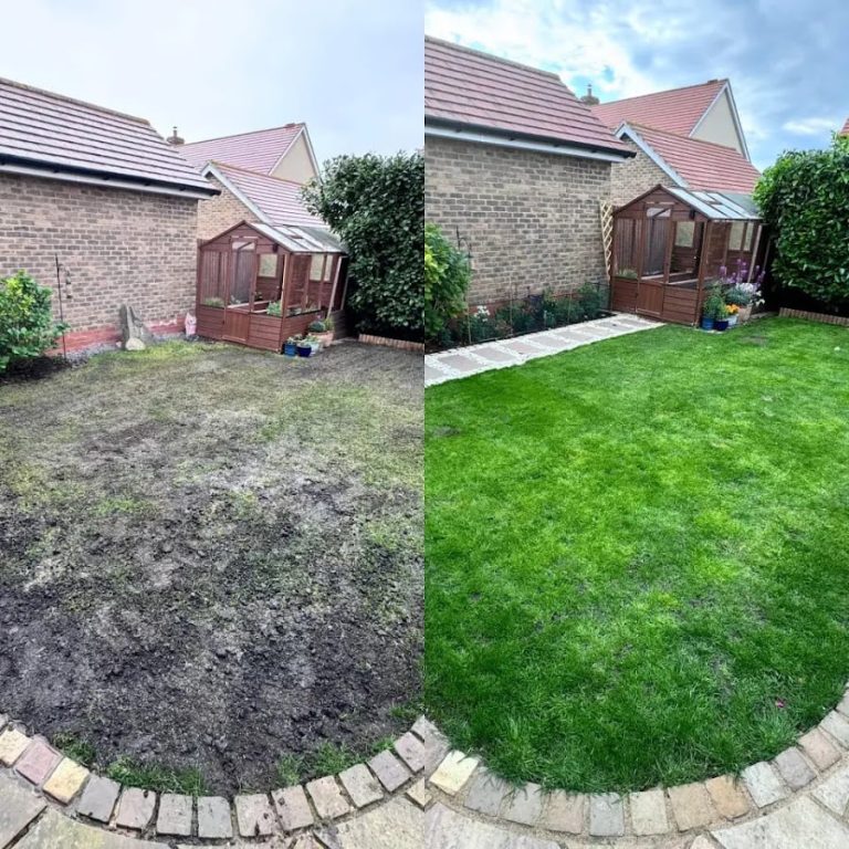 Green Nature Garden and Landscaping