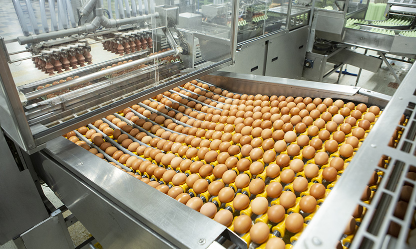 Greenfield Foods Ltd