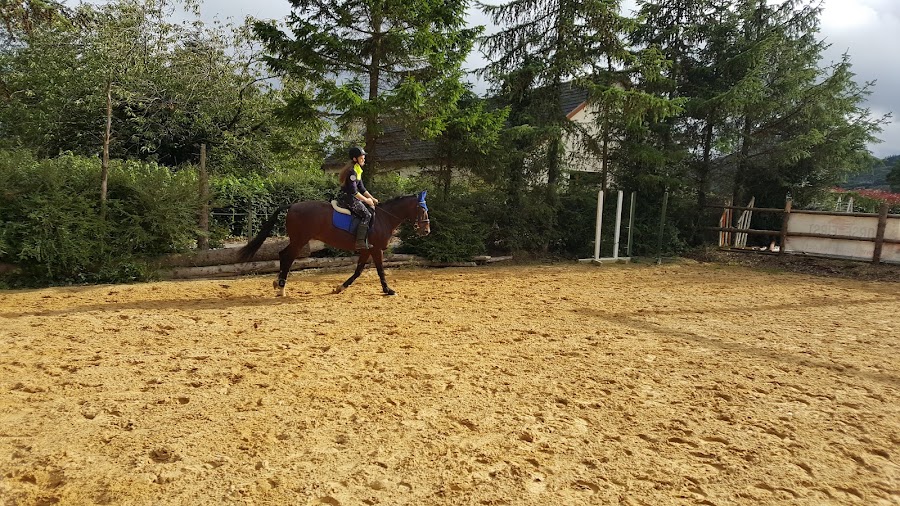 Greenvale Equestrian Centre