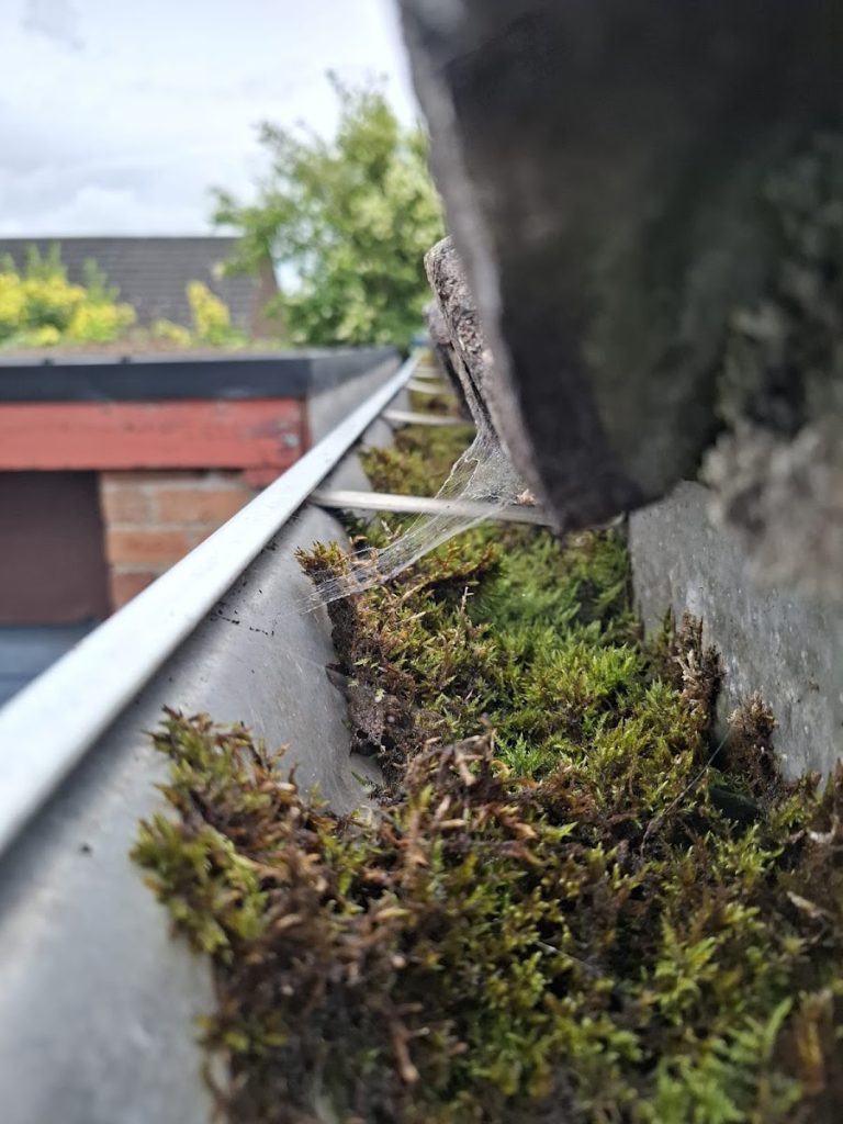 Gutters NI