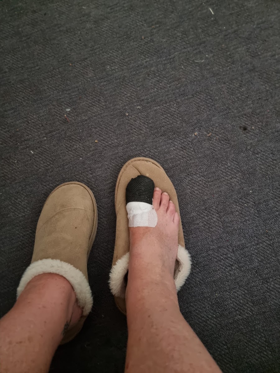 Happy Feet NI