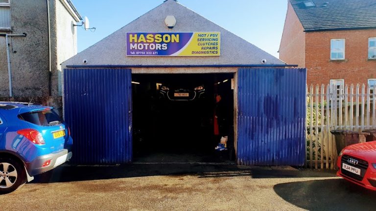 Hasson Motors