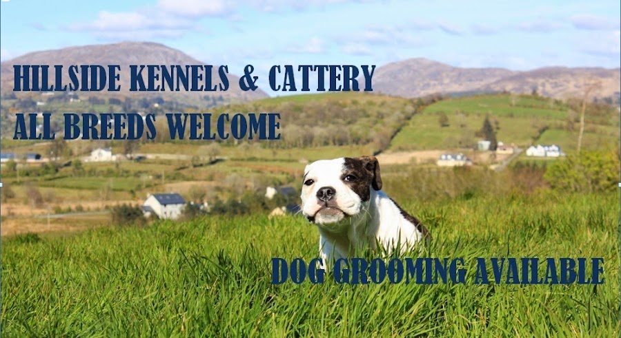 Hillside Kennels And Cattery