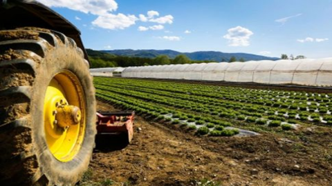 John Collins Agricultural Contractor