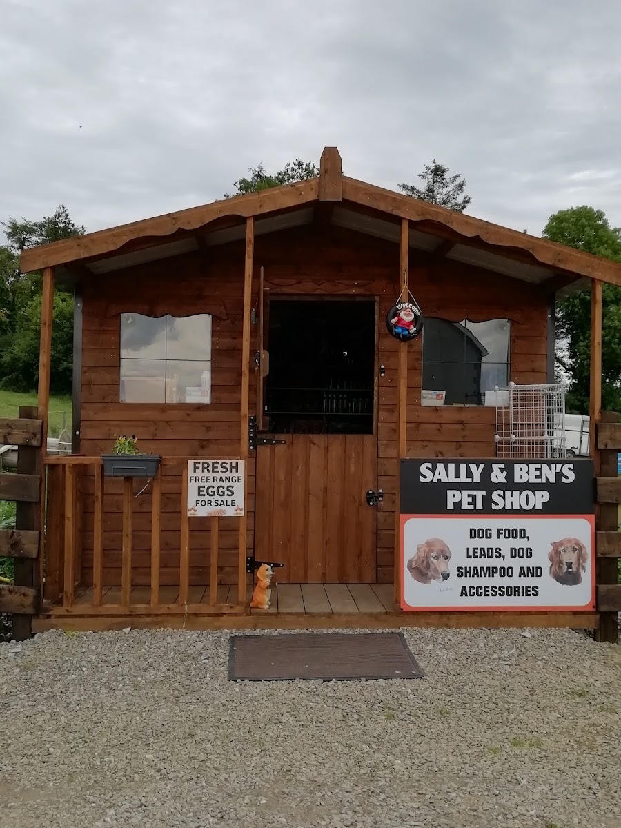 Kilross Boarding Kennels