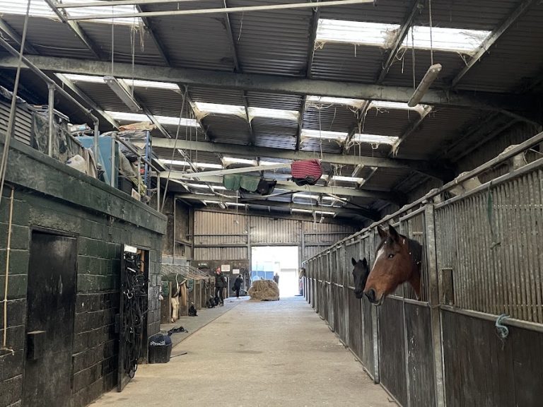 Kinsale Equestrian Centre
