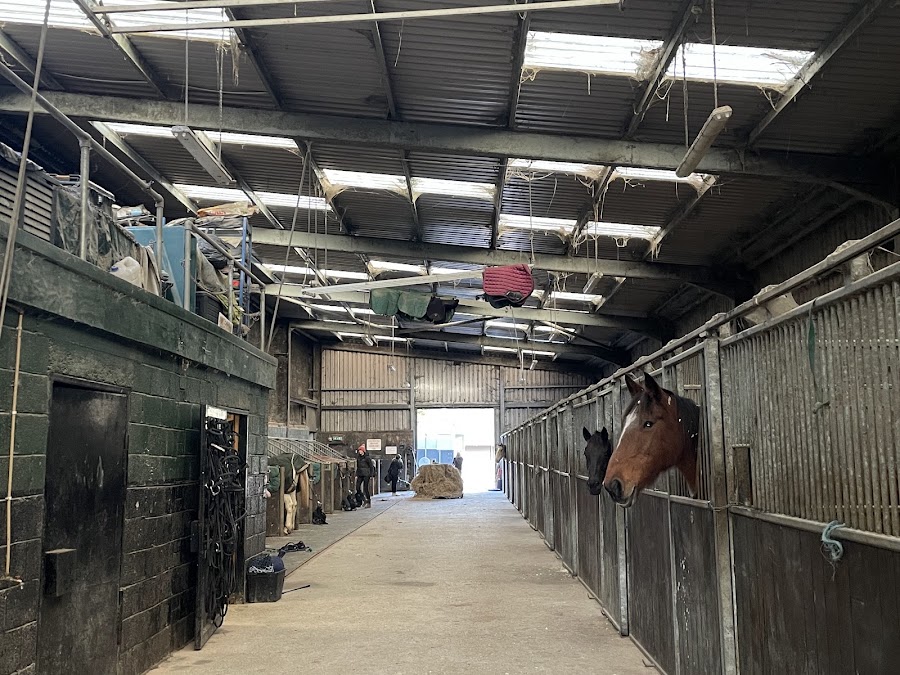 Kinsale Equestrian Centre