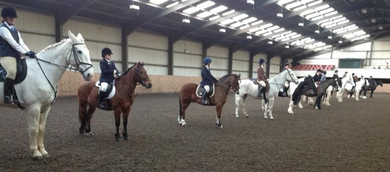 Laurel View Equestrian Centre Limited