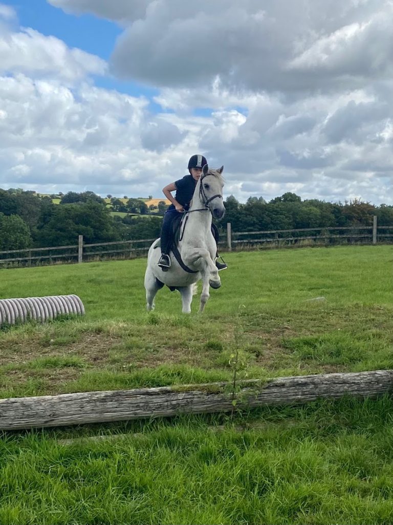 Lee Valley Equestrian Centre