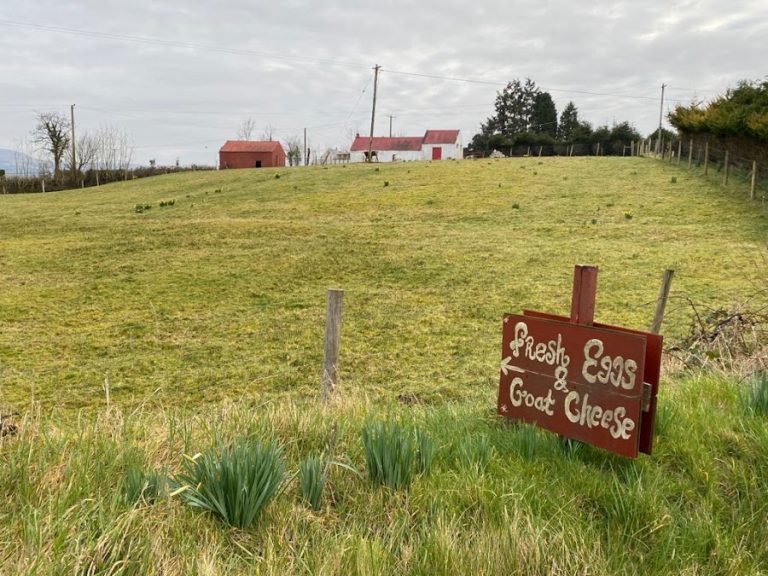 Leitrim Hill Creamery