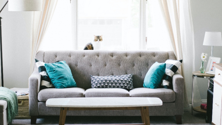 Lettings Company