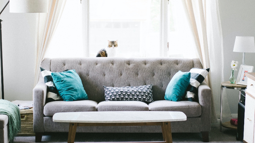 Lettings Company