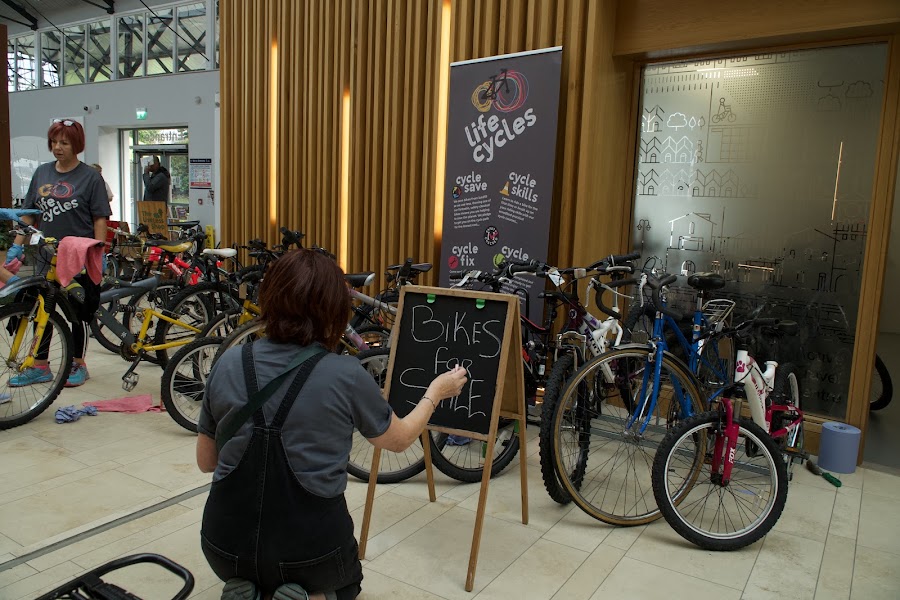 Life Cycles – Derry