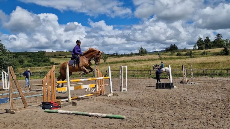 Lough Bo Equestrian