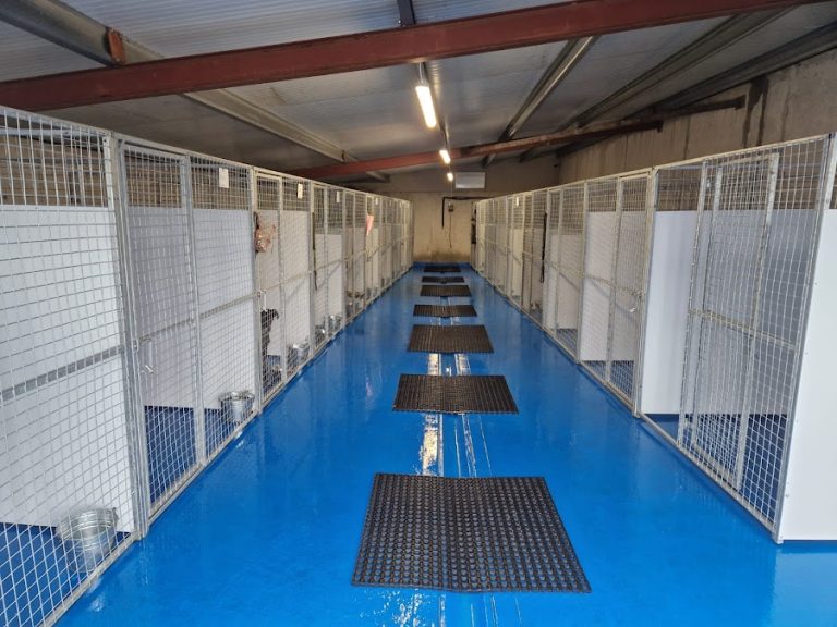 Lough Erne Boarding Kennels
