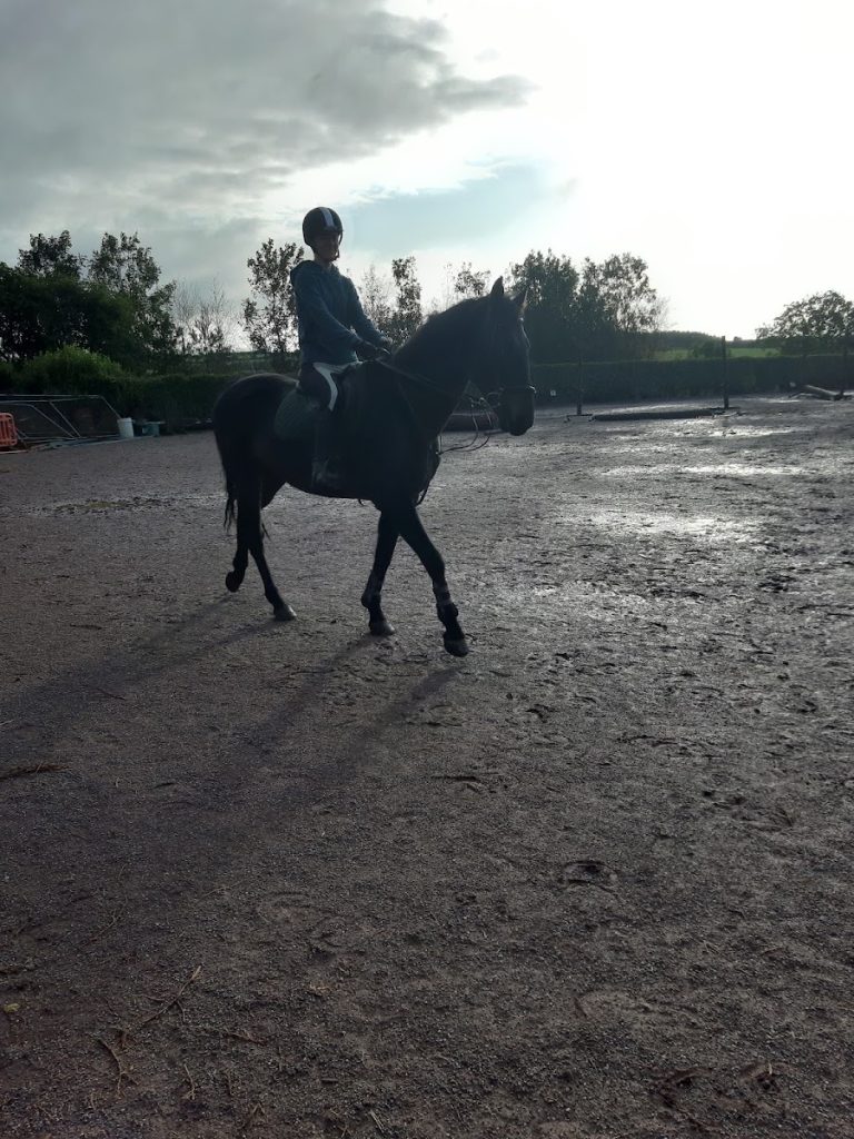 Lucky Meadows Equestrian Centre