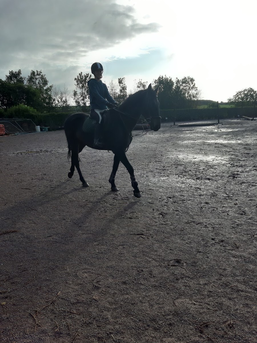 Lucky Meadows Equestrian Centre