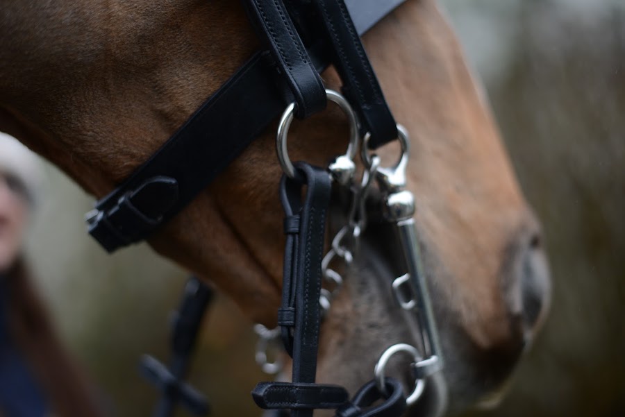 Mackey Equestrian Ireland