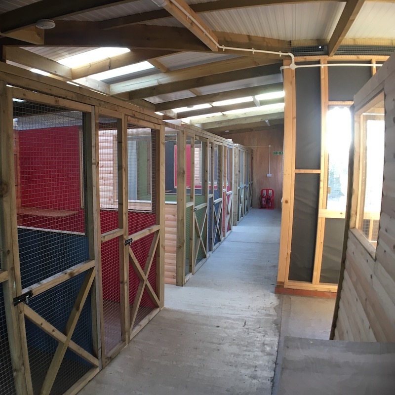 Manor Cattery