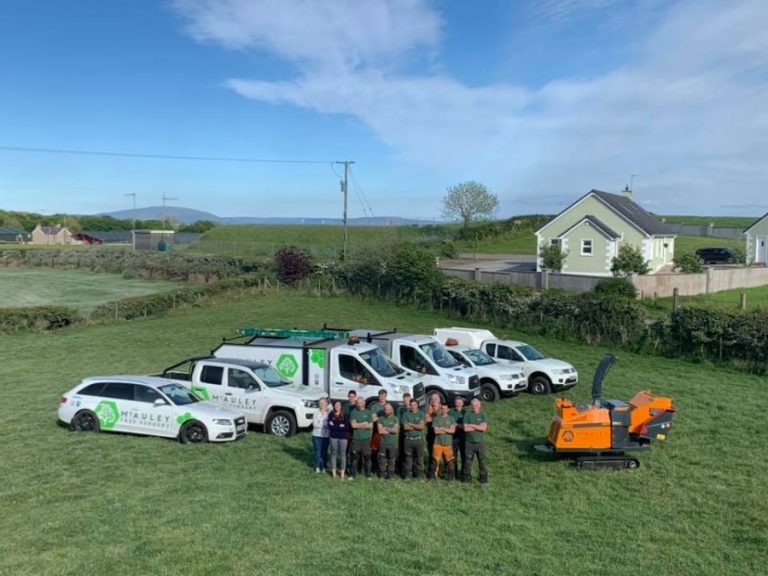 McAuley Tree Surgery | Belfast Tree Surgeons