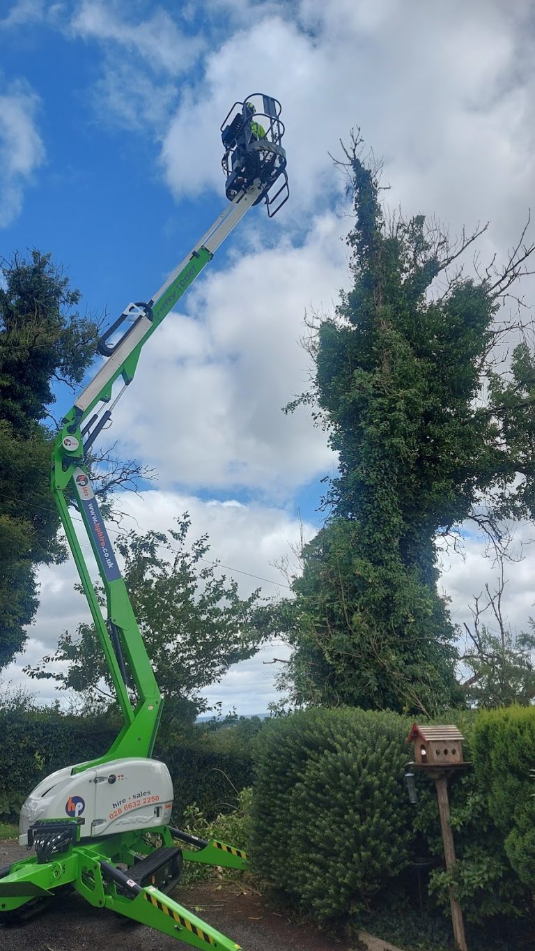 Millar Tree Services Limited