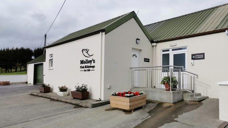 Molloy’s Fish Killybegs