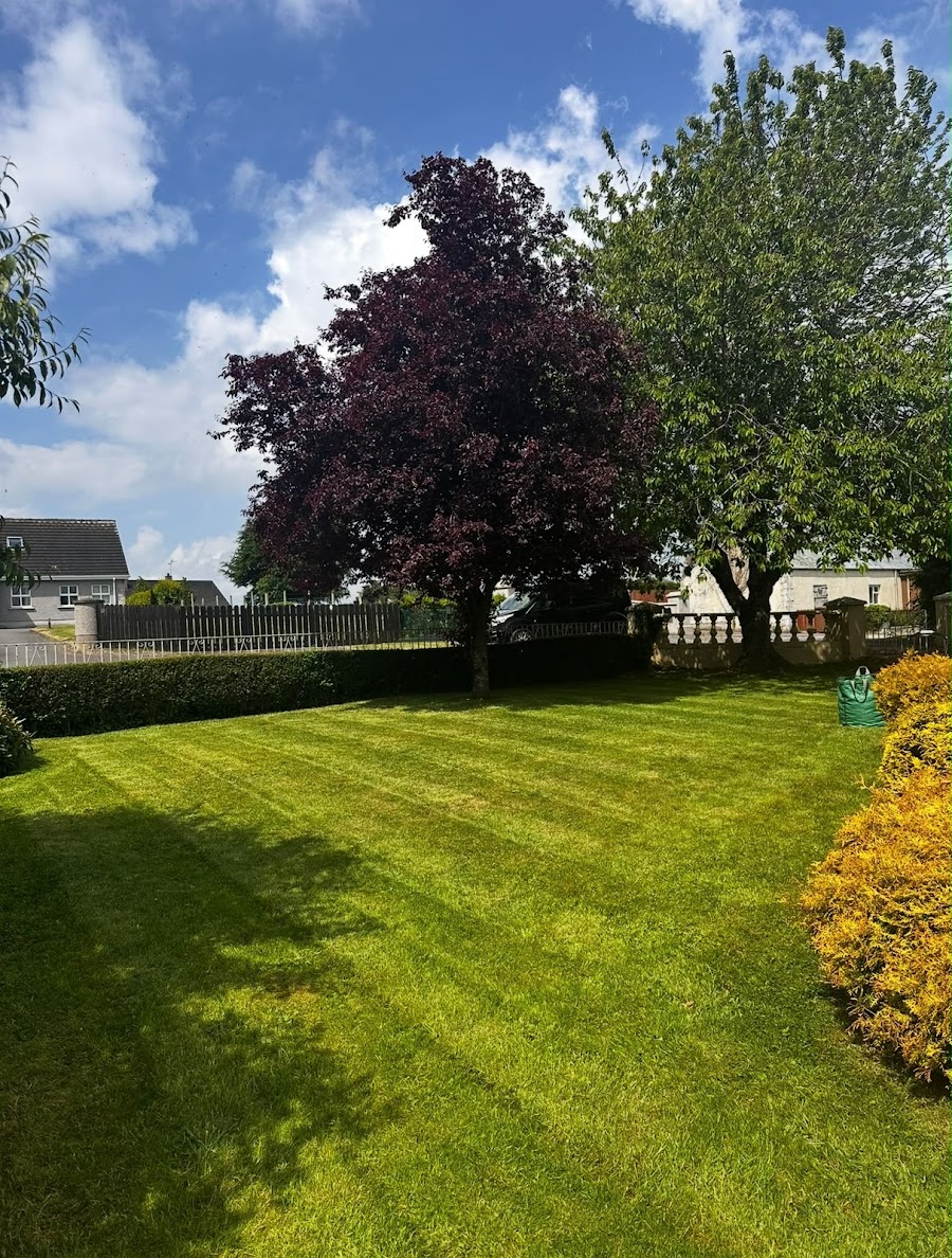 Mossmore Facilities Ltd