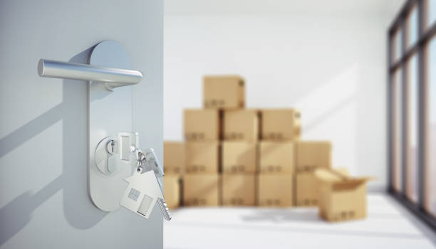 Move More Removals
