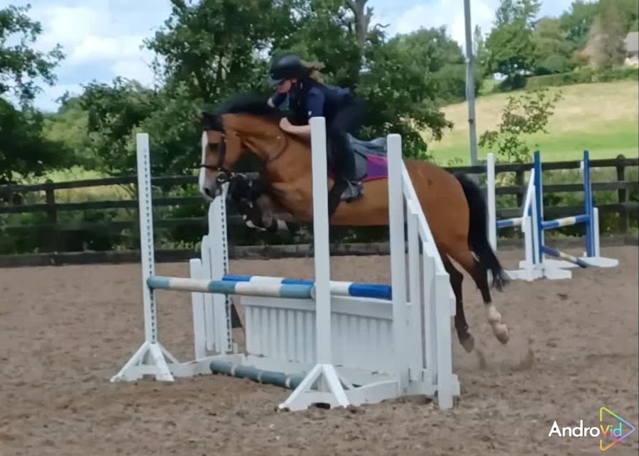 Moy Equestrian Centre