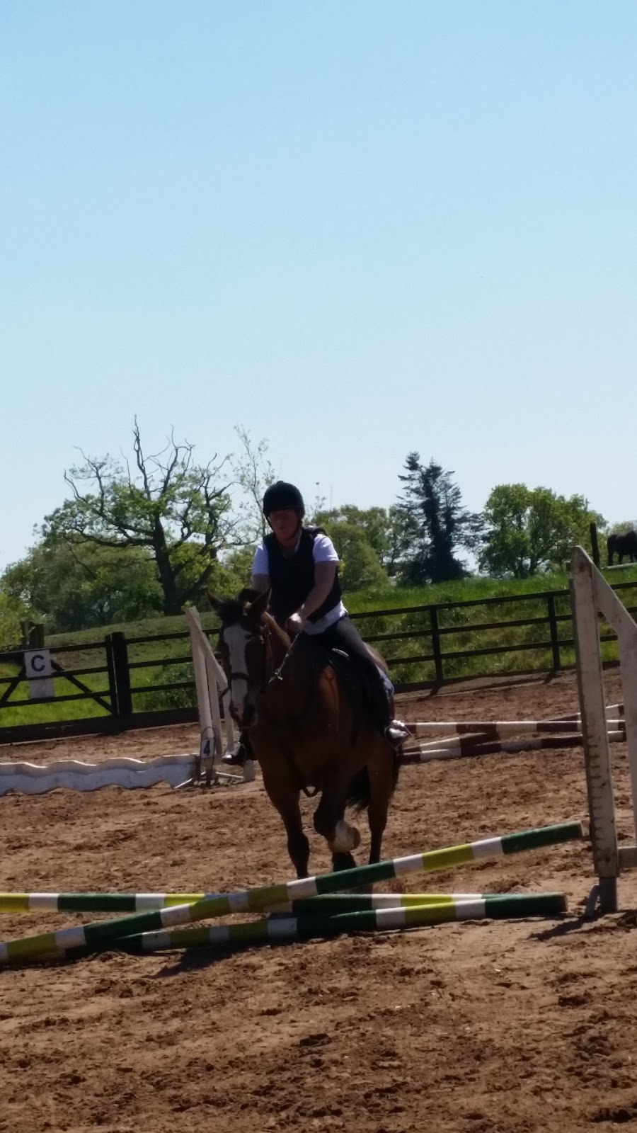 Moy Riding School