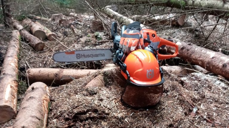 Mp Tree Surgeon