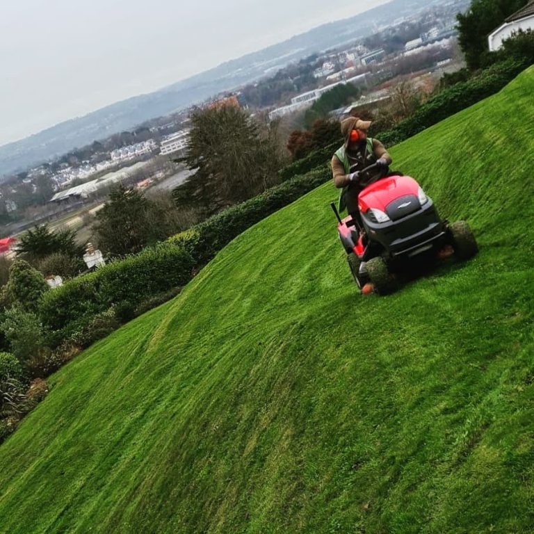 Mr. Tidy Garden