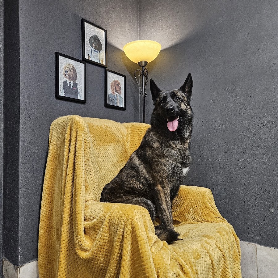 Mucky Pups Dog Grooming